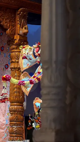 #radhayradhay🦚❤️ #harebol🙏 #jayshrikrishna #vrindavan #radhakrishna❤ #tiktoknews 