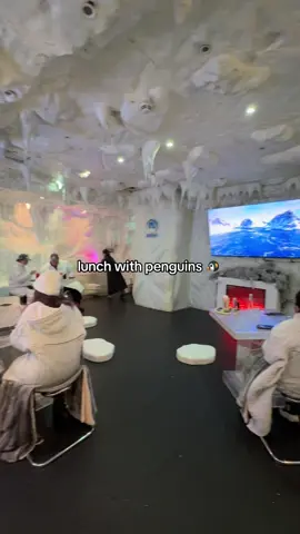 📍 Ski Dubai #foodtiktok #Foodie #penguins #animals #thingstodo #hiddengems #FoodTok #dubai #dxb  
