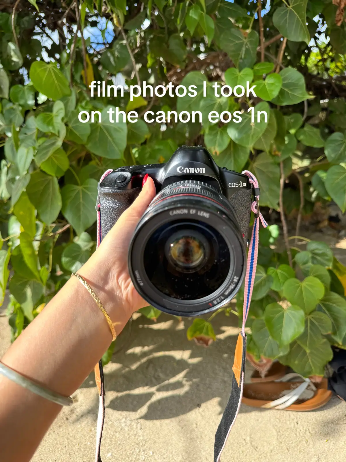 beach sessions on film #shootfilm #filmcamera #photoinspo #canoncamera #filmphotography @canonusa 