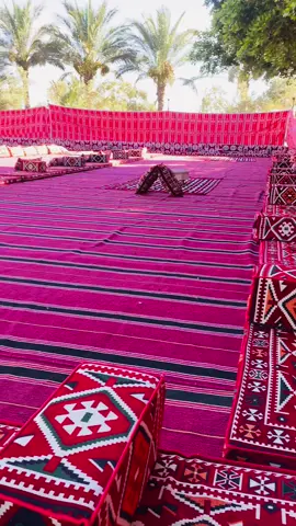 #الدينالي🔥 #اجتماع_قبيله_دينال🤍🔥#بنغازي_طرابلس_ترهونه_رجمة_سرت_طبرق#ليبيا_طرابلس_مصر_تونس_المغرب_الخليج❤️🦅 #ترند_تيك_توك_مشاهير #اللهم_صلي_على_نبينا_محمد 
