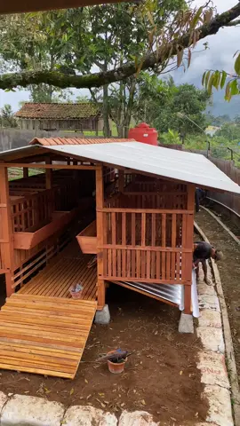 Kandang pengemukan dan breding siap di isi kambing,yang mau pesan kandang kambing / domba bisa hubungi 088239199456 tanya”siap dilayani 👍🏻#kandang #peternakmuda #kandangdomba #kandangmodern #kandangkambing #fyp #foryoupageee #berandamu 