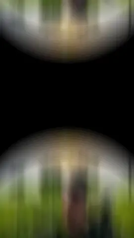 সবাই আছেন তো ## for you### 