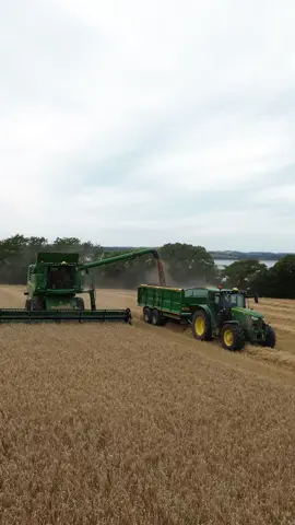 combining is flat out🌾 @Tom Body @Will Oatey #4k #fyp #agri #twosvgepartner #backbritishfarming #viral #harvest2025 