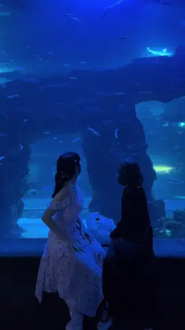 #wlw 🪼 тгк: уголок фотографа 