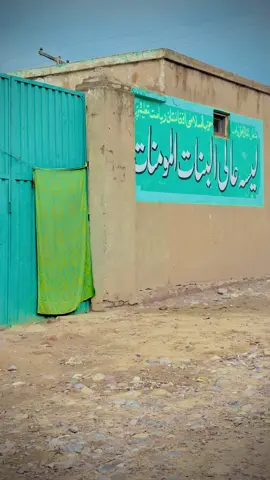 شمشتو کمپ (ب)ساحه 9 کوڅه #viral #video #fyp #foryoupage #💁 