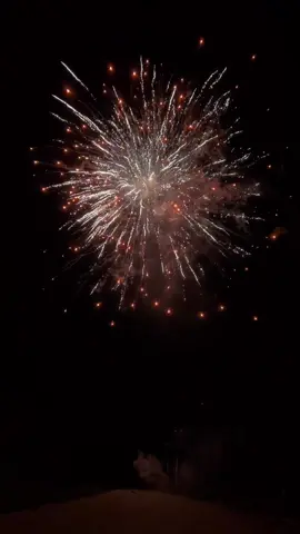 VIP 2 Inch 49 Shots ASSORTED CELEBRATION CAKES REPEATER FIREWORKS 2025 #fireworks #pyro #4thOfJuly #huge #fireworkshow 