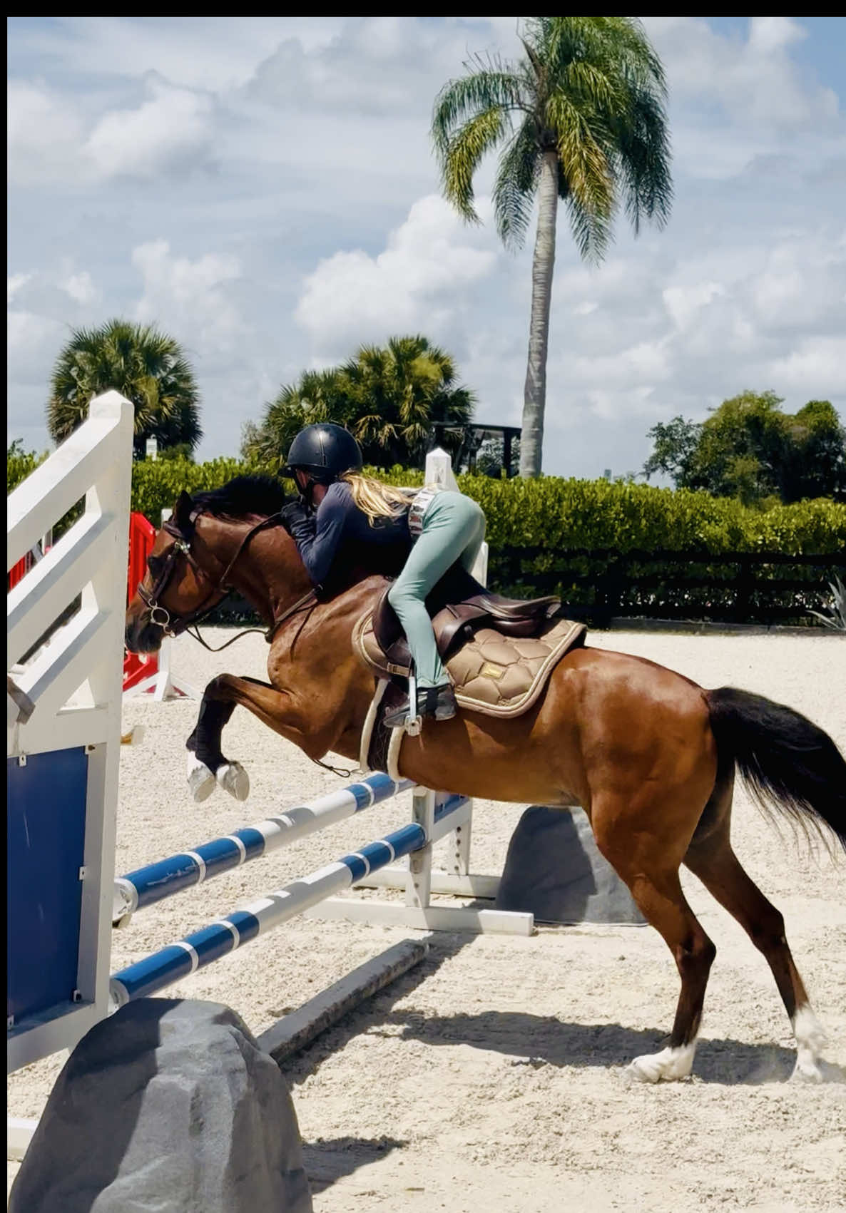 Going back and forth from jumpers to hunters with a couple of very different ponies was a bit humbling for Taegan yesterday 😆 She had a stronger bit in because we were playing it safe in case Lulu got fast (she didn’t) and was trying to put her in a box with her hands and legs like she does with Bailey. She pulled, and with the harsher bit, Lulu stopped, which rattled Taegan a bit - Lulu doesn’t stop.  They clearly figured it out if the end. They weren’t where they were before Lulu Bootcamp started, but they will get back there!!! Always learning ❤️ & back to a snaffle for jumping 😂