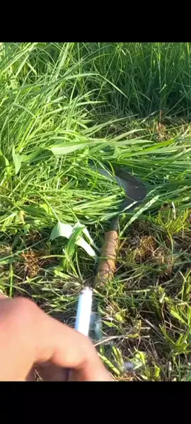 jann nyenii tenann woo #fyppppppppppppppppppppppp #tukangngaret #bolongaritnusantara #peternakmuda #peternakkambing #petaniindonesia🇮🇩🇮🇩🇮🇩🌿🌿 