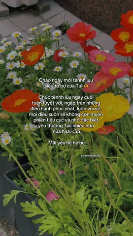 “hẹ hẹ hẹ🥰” #suyymottchut #viral #fyp 