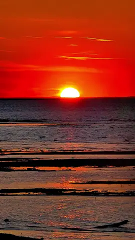 sana öyle hasretim bu temmuz akşamında...🧩🌹@⚜️ 𝑵𝒂𝒛𝒂𝒓 ⚜️ 