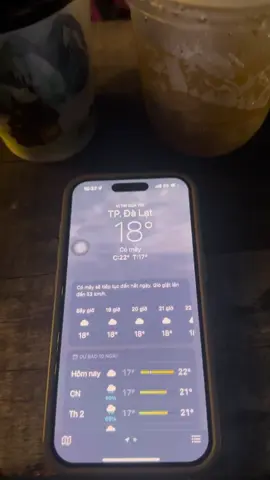 Chill giữa cái lạnh của đà lạt ❤️#xuhuong #dalat 