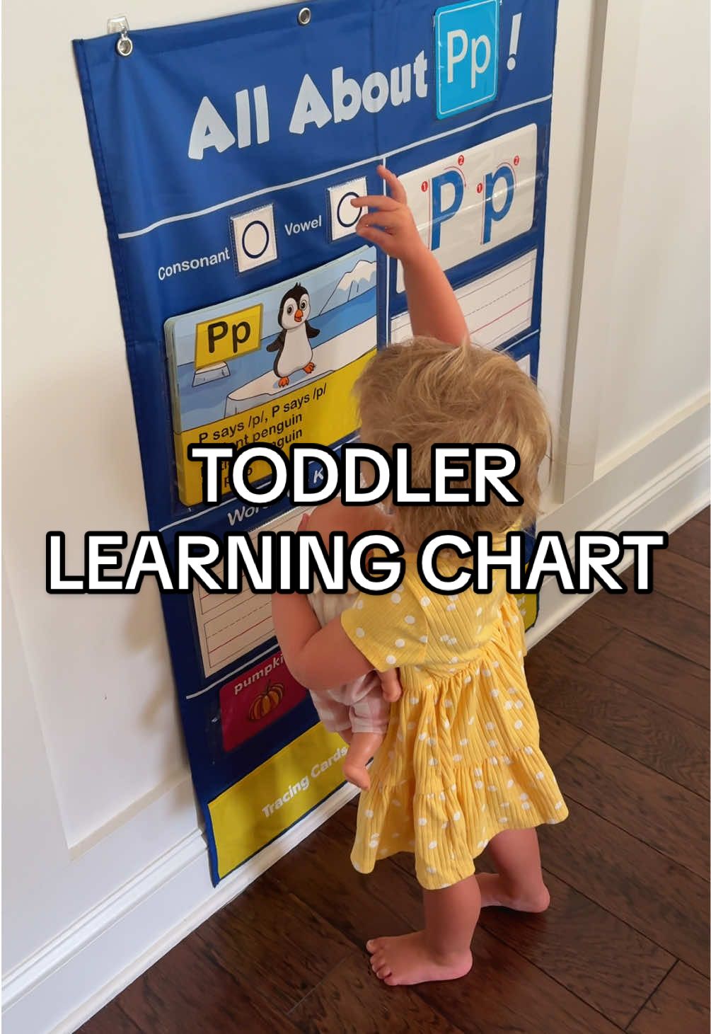 Learning ABCs with this pocket chart makes it so much FUN! 🎉 This alphabet learning pocket chart is a must-have for toddler moms teaching letters at home. Hands-on, colorful, and screen-free! Also would be a great addition for teachers classrooms as well! 😍😍 This will grow with her and we just use for fun! 🤗✨ 🔠 Includes flashcards & interactive pockets 🌈 Supports early literacy & phonics skills⁣ #toddlerlearning #abclearning #phonics #learningtoys #earlylearning #educationaltoys #toddlermom #toddlerlearningactivities 