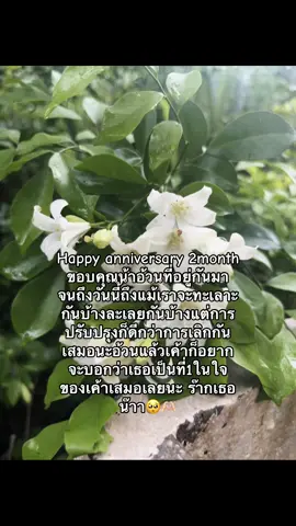 🥺🫶🏻#เธรดคลั่งรัก #วันครบรอบ #อย่าปิดการมองเห็น #ลงตอนนี้มีคนดูไหม @กอ ตอ ไง🤍🇮🇩🚀 