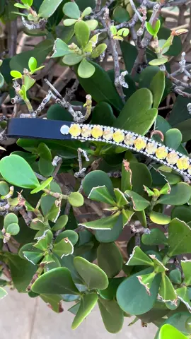 Nossa testeira em U Garanta a sua #fyy #cavalo #hipismo 