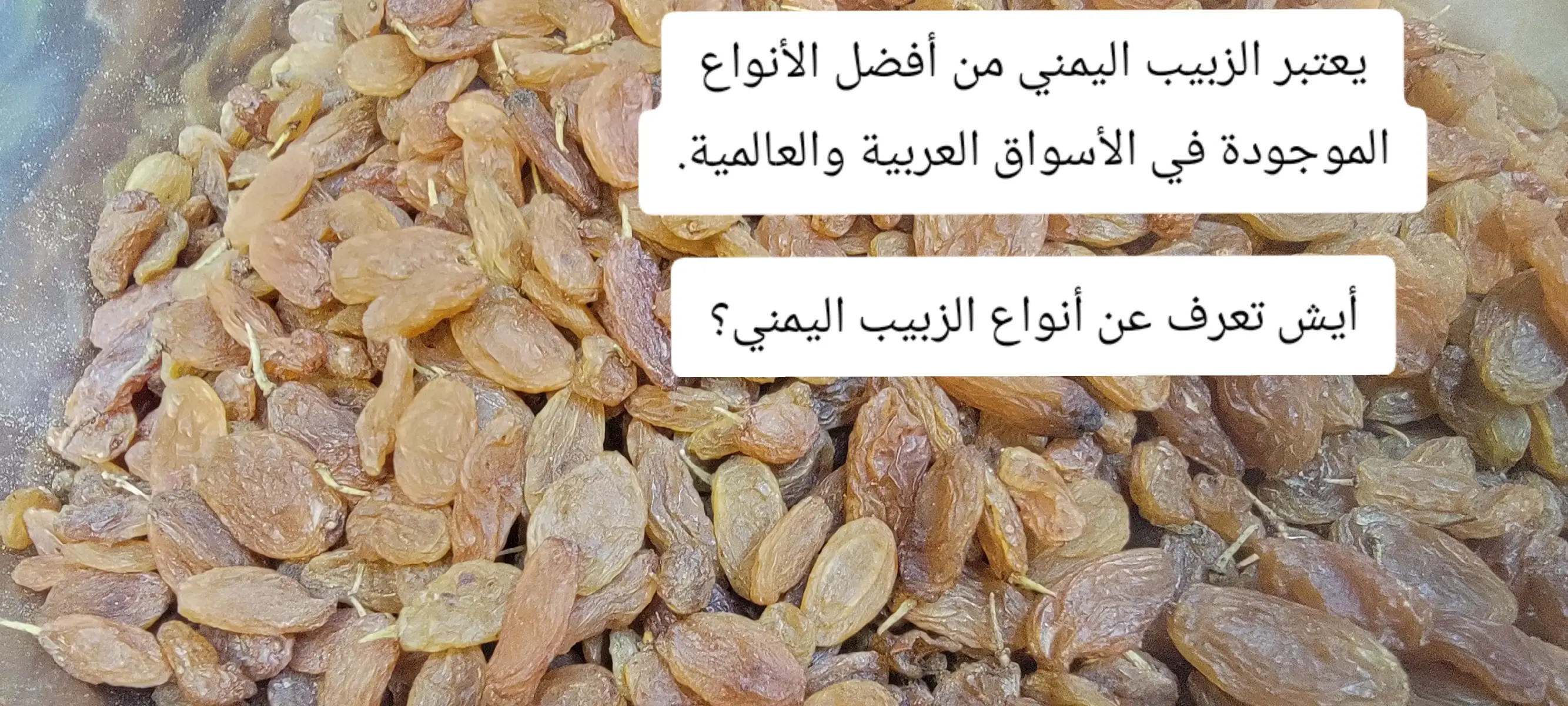 ابو فارس اليمني للزبيب واللوز اليمني والمكسرات زورونا تجدو ما يسركم صنعاء باب اليمن سوق الملح  777151390 او 771279115