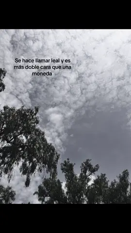 Nos salió doble cara la niña #pinchetiktokponmeenparati😽 #contenido #doblecara🤡🎭 #disquesumejoramiga😒