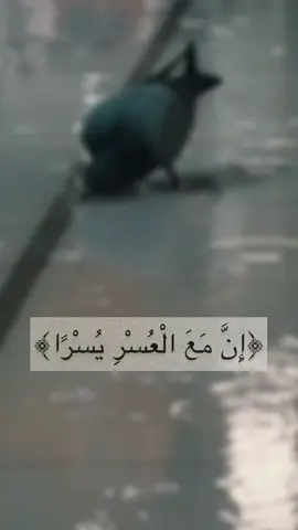 ان مع العسر يسرا#يارب #تصاميم #شاشة_سوداء🖤 #tiktok #العراق 