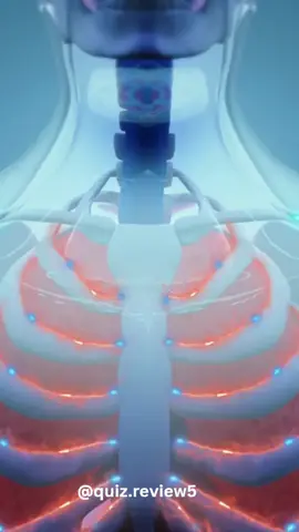 Anatomy quiz  #anatomy  #anatomyquiz #anatomylesson #anatomyclass #quiz #trivia  #quiztime 