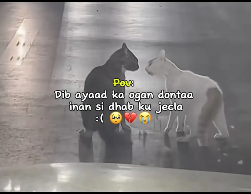 💔#