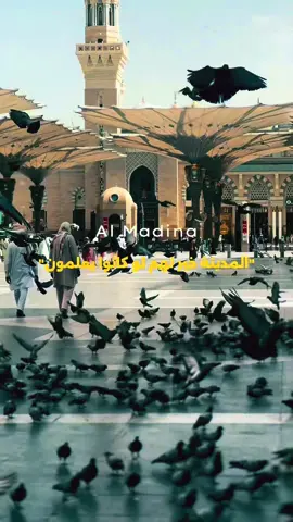 #المسجد_النبوي #متطوعة_المدينة #pypシ #المدينة_المنورة_الآن #CapCut 