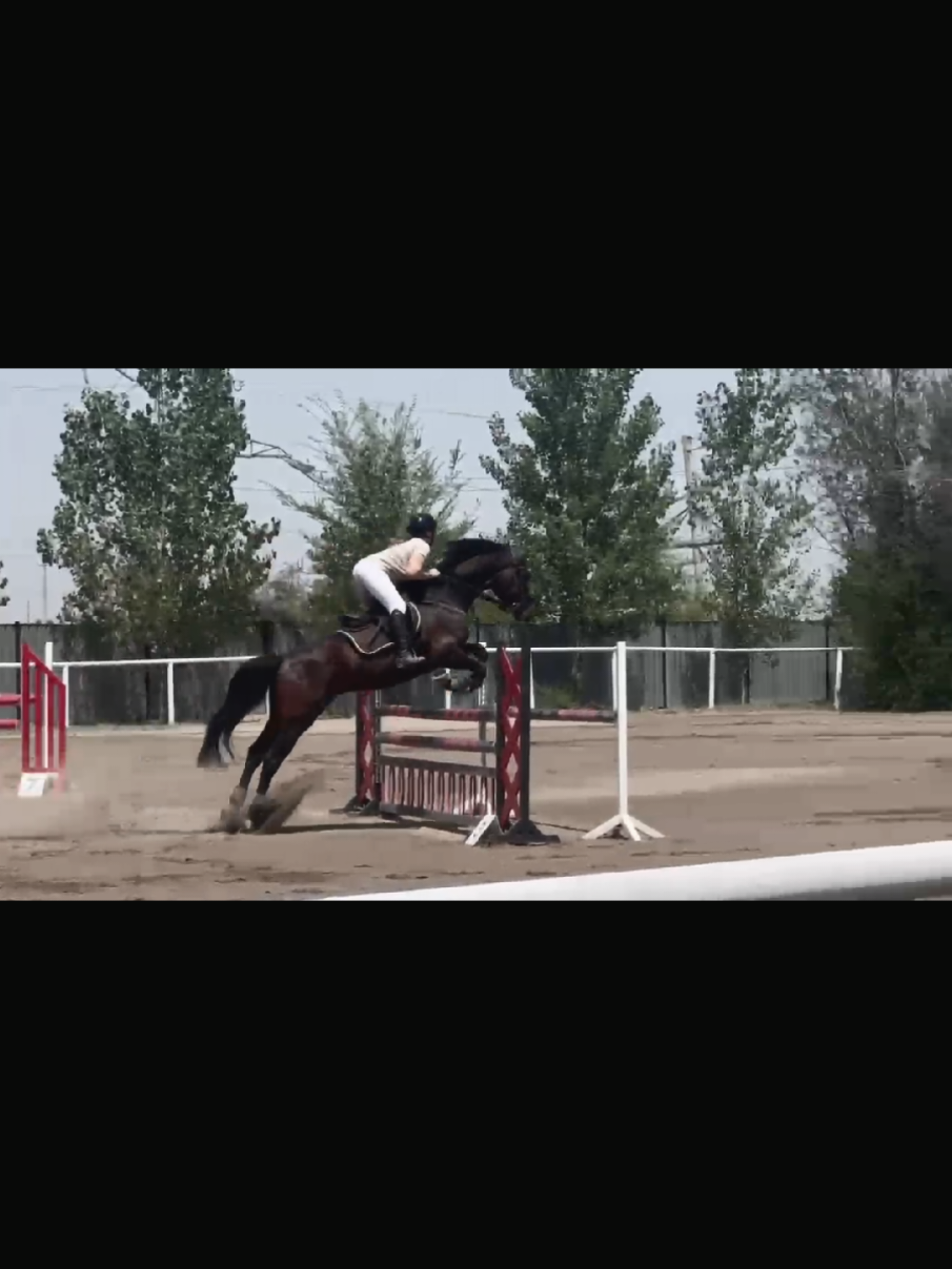 Второй день турнира 🥈