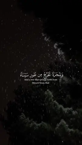 ياسر الدوسري - وان لكم في الانعام لعبرة || حساب وقناة القران فالبايو  #quran #قران 