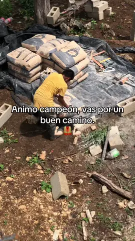 #💪🏻🦺👷🏻‍♀️ 