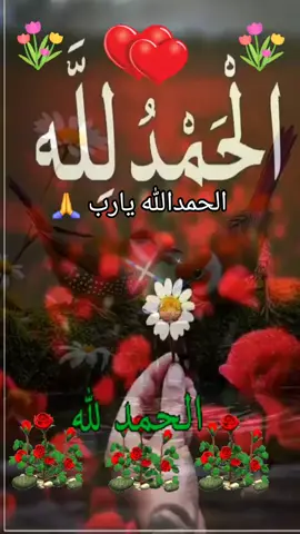 الحمدلله والشكر لله #دعاء #حالات_واتس #فيديوهات #الحمدالله_علی_کل_حال❤ 