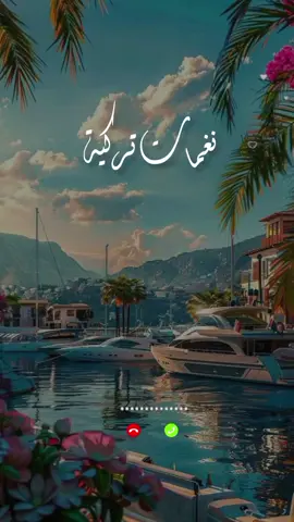 نغمات تركية عالية الصوت 🎶📣 #نغمات_تركيه #نغمات #موسيقى_تركية♥️🎵🎻 #موسيقى_تركي 
