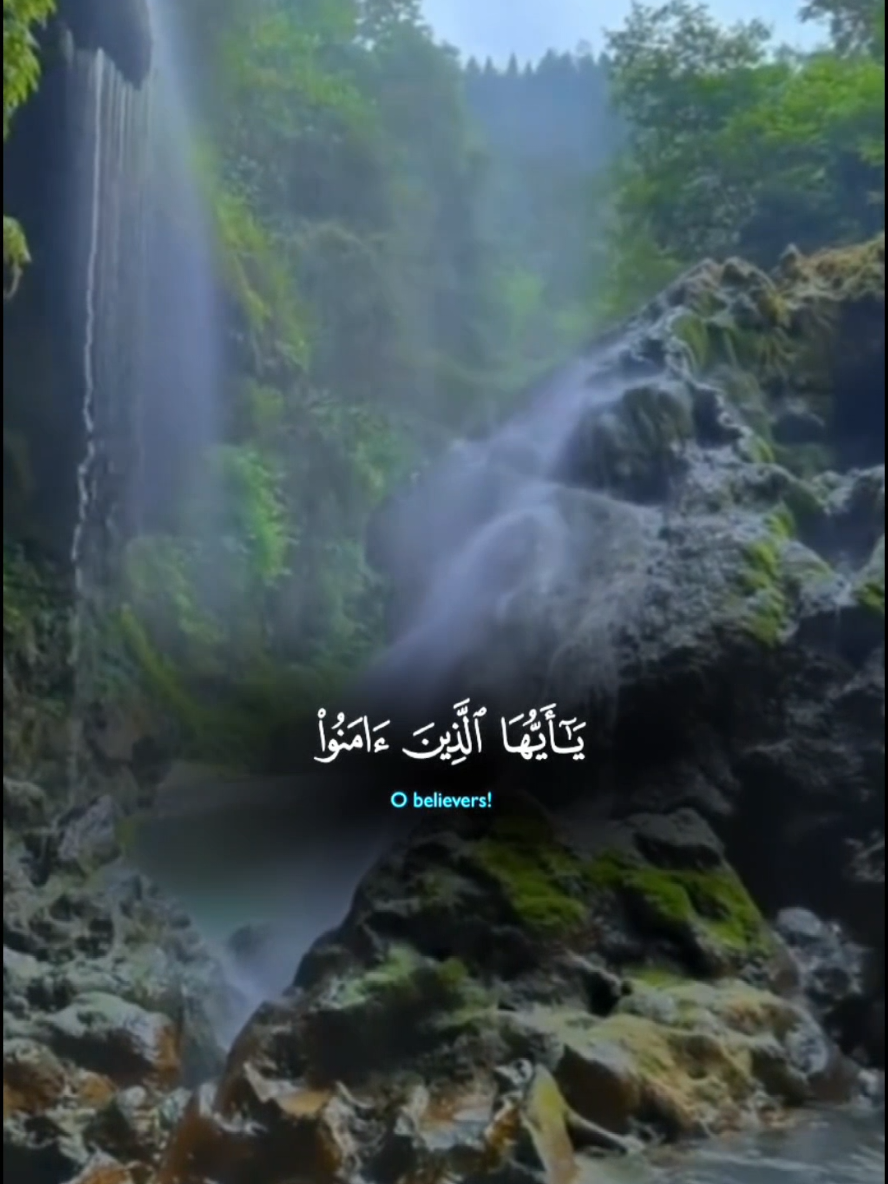 🕊 Surah Al-Baqarah | “Indeed, Allah is with the patient” – Afeef Muhammad Taj Let this touching recitation soothe your heart and remind you of the power of patience. 🤍 #SurahAlBaqarah #AfeefMuhammadTaj #QuranRecitation #Patience #islamicvideo #explore #quran #sabr #BeautifulVoice #SpiritualReminder #Faith #hearttouching #Peace  #fyp #foryou #viral #CapCut  