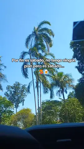 Por fin es sábado 🍺🥵✌🏻#armonia10#findesemana🍺#solterofeliz#hoyessabadoyelcuerpolosabe🍺#pucallpaperú🇵🇪ucayali🌴 