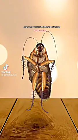 #fypシ゚ #pinchetiktokponmeenparatii #noflop🥱 #larachaaaaaaaaaa🔥 