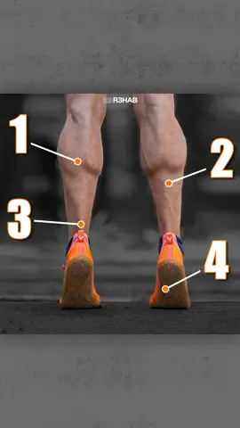 After an acute ankle sprain, there are 3 main goals:  1. Minimize swelling 2. Improve ankle function for day-to-day tasks 3. Normalize walking This video demonstrates some exercise OPTIONS, assuming they do not increase swelling or exacerbate symptoms. #fyp #physicaltherapy #physiotherapy #e3rehab 