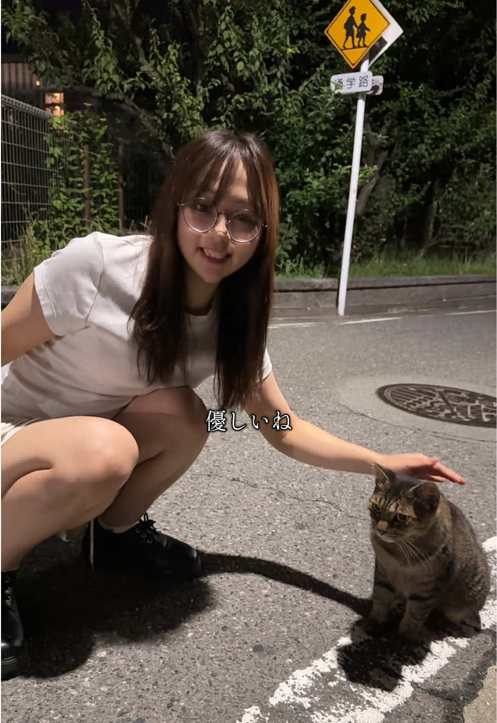 今日のにゃんこ🐈新しい仲間も寄ってきた🥹🐈 #猫 #野良猫 