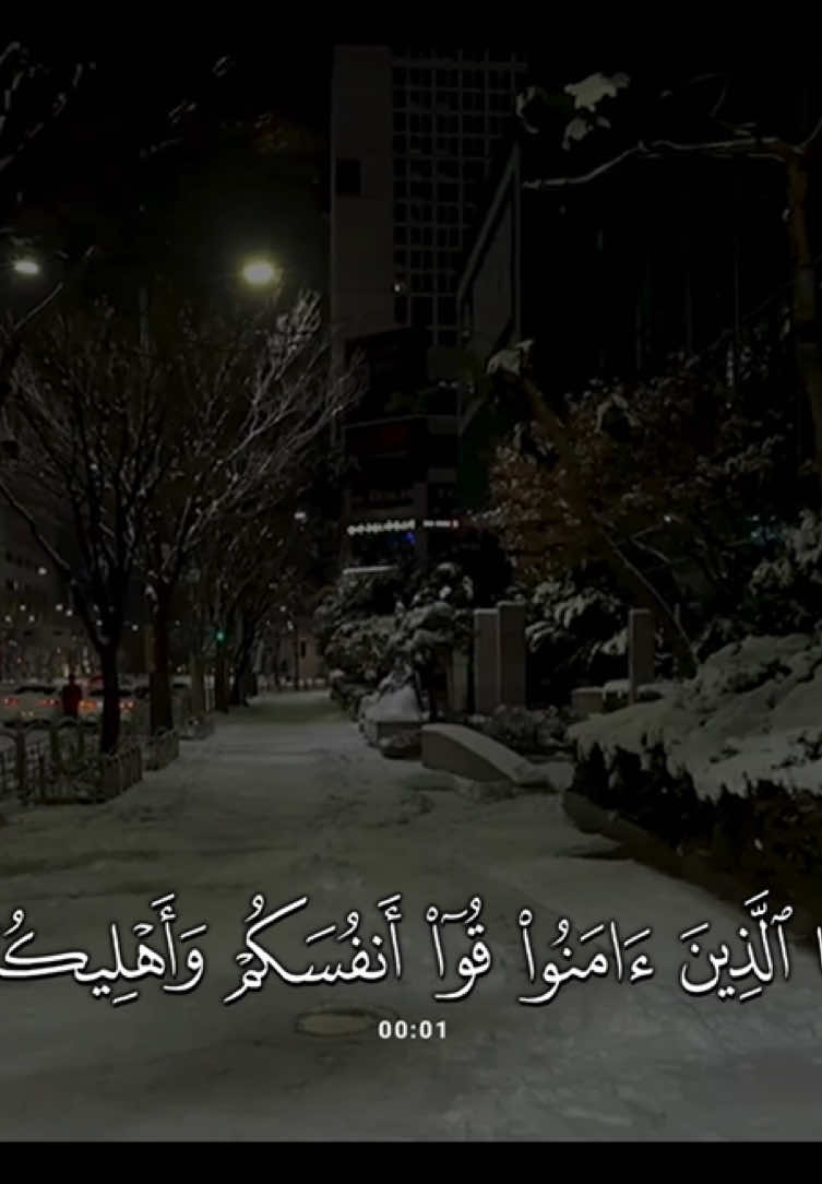 سورة #التحريم | #احمد_عبدالرزاق 