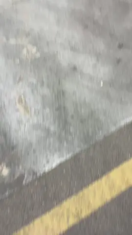 #ماشاءالله_تبارك_الله #جكسار #2024 #لاندكروزر #2024 #كسبلور #جكسار #لاندكروزر #ماشاءالله_تبارك_الله 