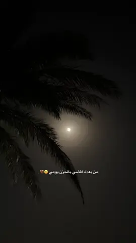 تكفوون سكتوو نادر الشراري اهل السعوديه🇸🇦🥺 #بدويه #تصويري📸 #عشوائيات #الرياض #اكسبلور؟ #عدستي📸 #تصميمي #اكسبلور؟ @نادر الشراري 
