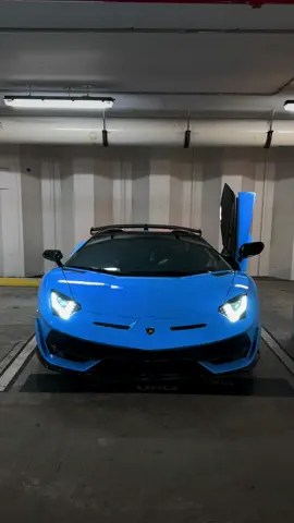 Menacing SVJ 😈 | #lamborghini #aventador #svj #cartok #fyp 