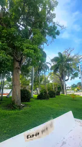 Feliz Sábado✨💒  #felizsabado #iglesiaadventista #biblia #versosbiblicos 