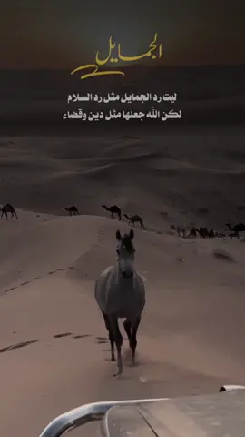 #شعر ليت رد الجمايل مثل رد السلام  لكن الله جعلها مثل دين وقضاء  كنها في يمين اللاش برد وسلام وكنها في يمين الحر جمرة غضا