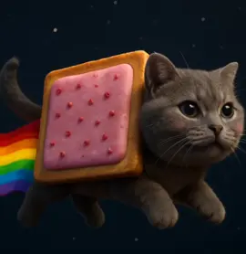 Gattatino Nyannino #memes #tralalerotralala #fyp #viral #brainrot #robloxfyp #brainrot #Nyancat #ia #IA 