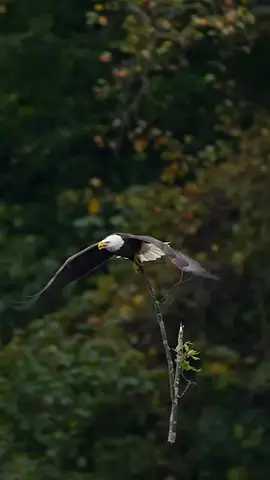 importância de você ter Jesus 🔥
