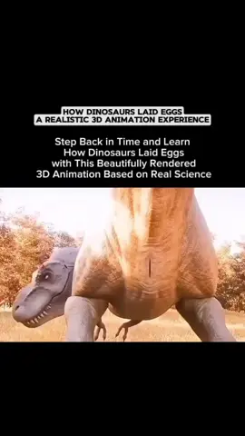 when you deny evolution... 