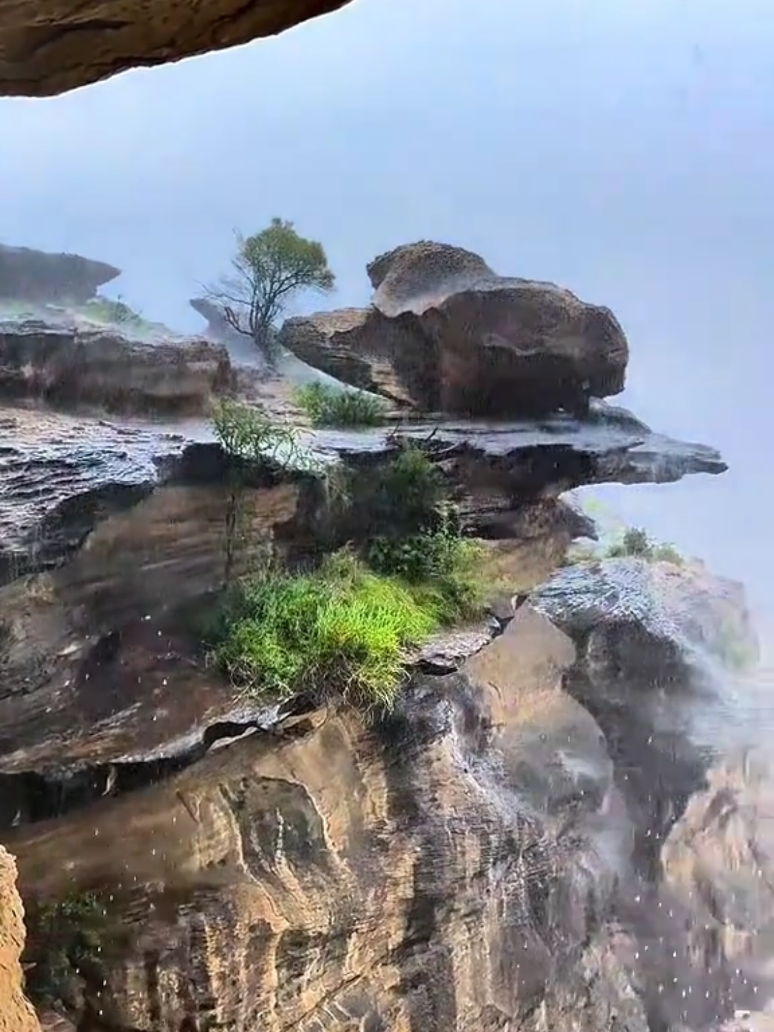 #ابوريان_المطوع شق الضماء قلبي الفنان ايوب طارش متابعه إكسبلورر لايك مشاركه لايكات تعليق إكسبلورر لايك مشاركات 