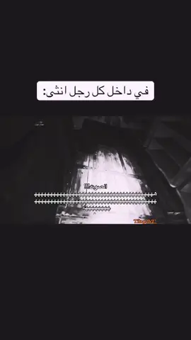 #ابو_شهاب🎖️ #الشقردية🇸🇦 #الحميا🇸🇦 #ذبات #ميمز 