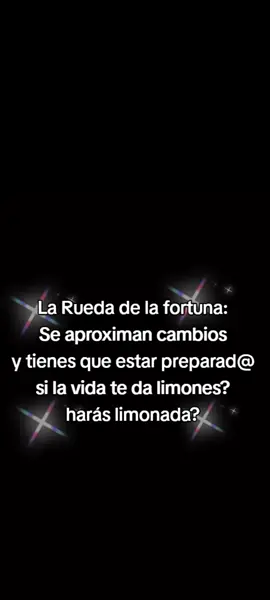 #creatorsearchinsights  #ruedadelafortuna 