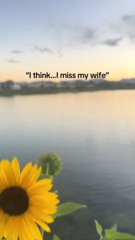 I hope to see you again soon #fyp #foryou #ithinkimissmywife #girlfriend #distance #iloveyou 