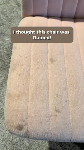 I thought my favorite chair was ruined, but so happy I found Mom Remedy’s Hydrogen Peroxide All Purpose Cleaner & Stain Remover!  Definitely rescued my chair! Love that it is non-toxic and can be used on hard surfaces like countertops, too! @MomRemedy  #momremedy #cleaningupholstery #upholsterycleaning #stainremover #allpurposecleaner #cleaninghacks 