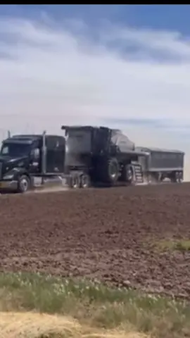 Finally all made it to Montana! Now to get busy cutting. #montana #roadtrip #fyp #harvesting #harvest #gleaner #wheatharvest #harvesttime #grain #farming #combine #customharvest #farmer #2025 