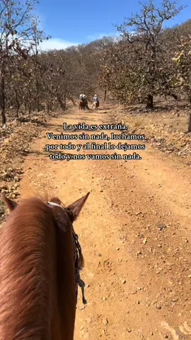 Hay q darle gusto al gusto #ranchlife#cabalgata#alomodemicaballo🐴🤠#fyp#foryou 